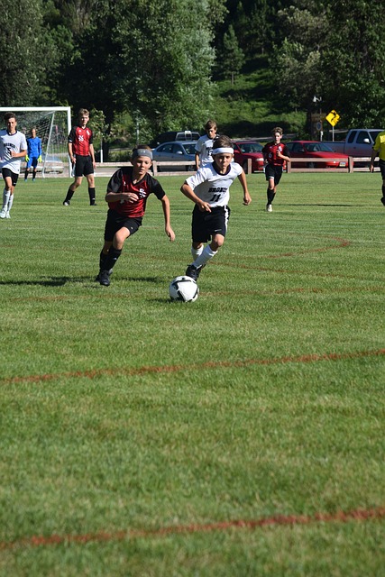 的热爱和对 的热爱和对