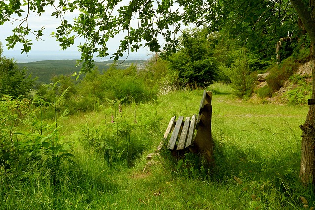 回顾这一神 回顾这一神