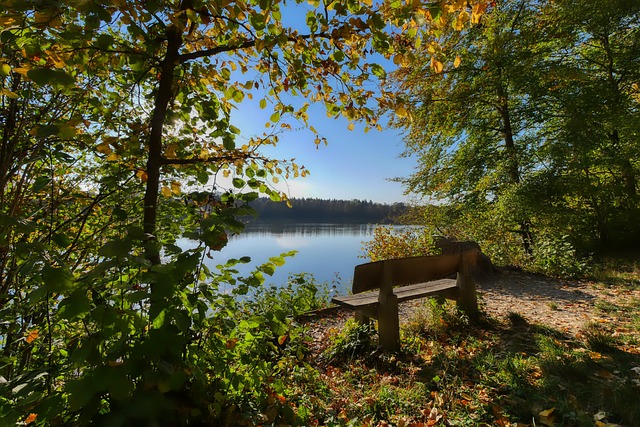 和对比赛节 和对比赛节