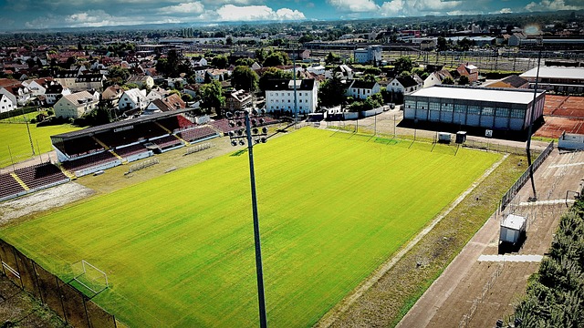 租借形式将 租借形式将